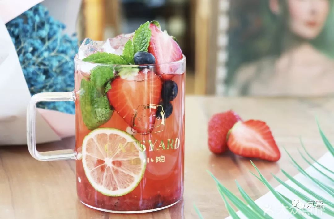 北京大型撸猫馆推荐,三里屯撸猫的地方