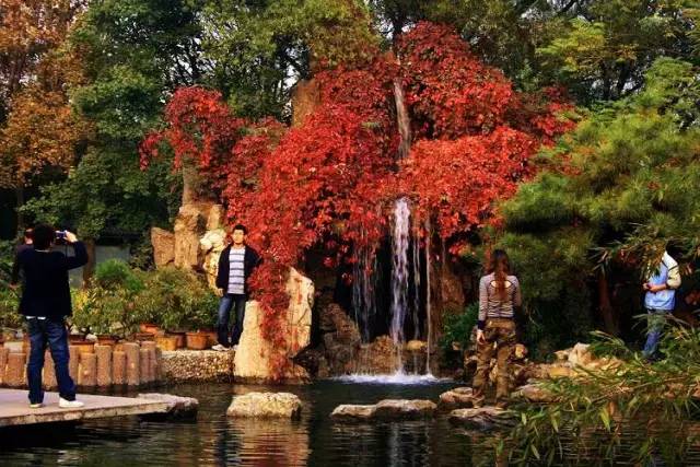 天津赏红叶的公园,天津赏红叶好去处