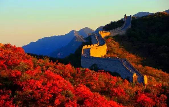 天津赏红叶的公园,天津赏红叶好去处