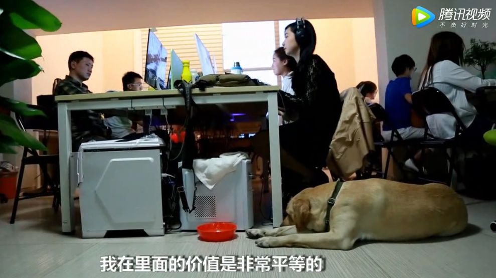 国际盲人日盲人按摩,国际盲人日完整视频