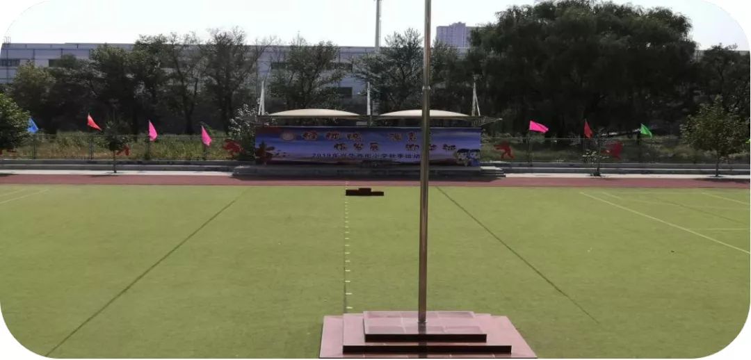 「直通校园」摘金夺银,赛场从不缺少“真英雄”——万柏林区兴华西街小学