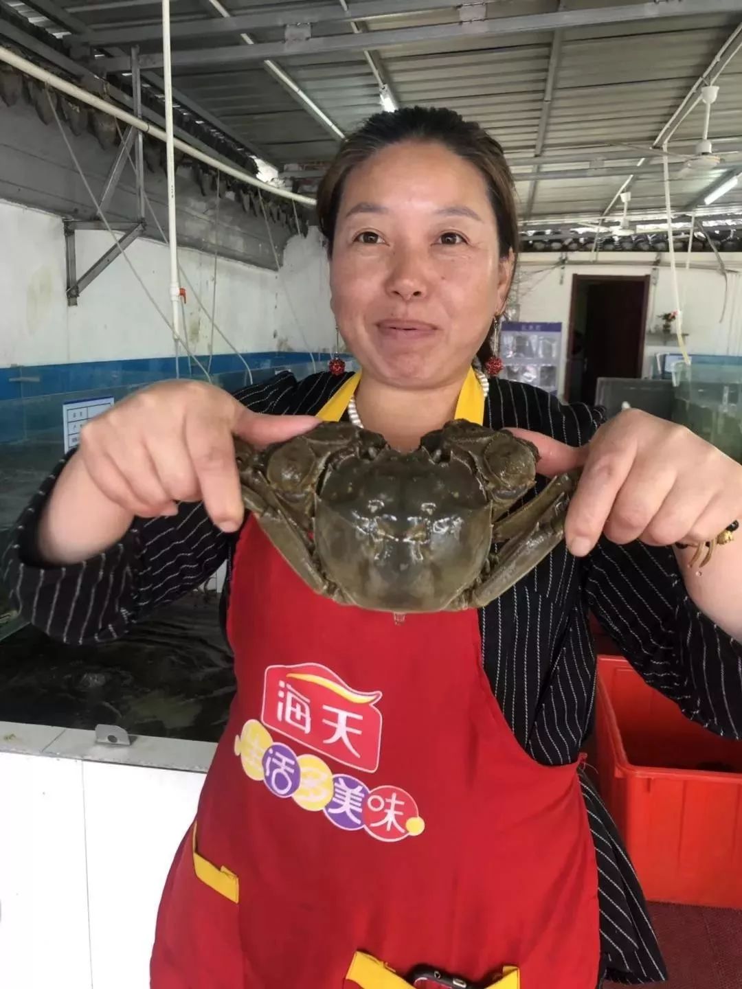 阳澄湖大闸蟹最佳吃蟹时间段,阳澄湖大闸蟹的最近品尝时间