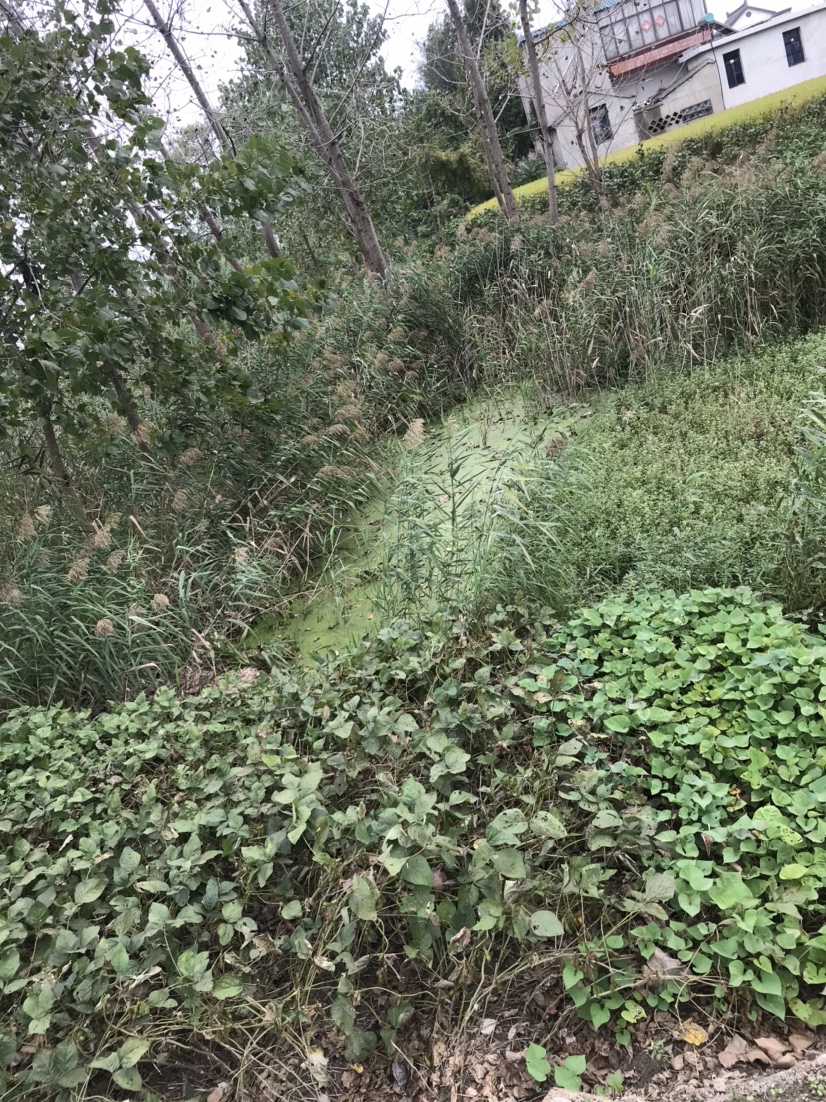 路亚打黑2022年视频,路亚打黑第一条鱼