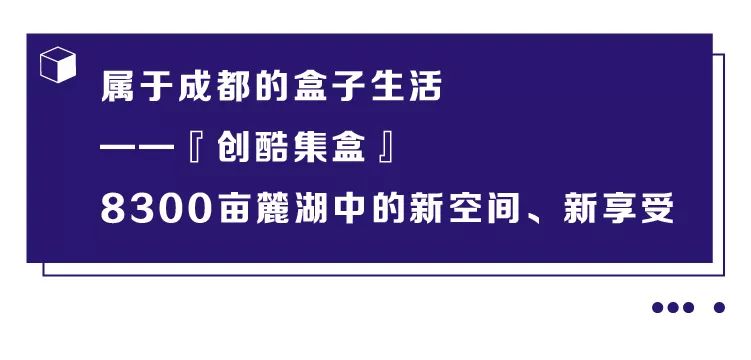 盒子世界现在是怎么了,盒子世界为什么更新了