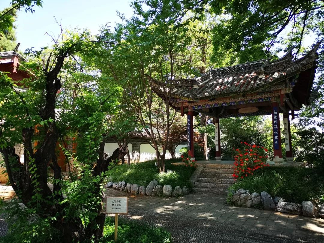 花5000多住迪士尼酒店,花5000住酒店什么体验