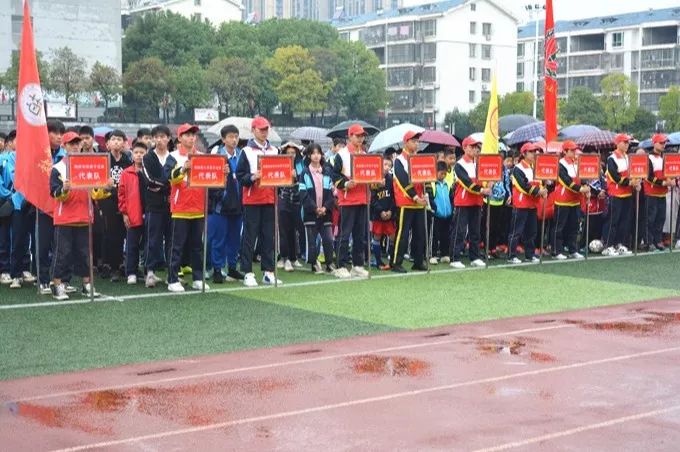 校园足球绿茵赛,绿茵场足球联赛