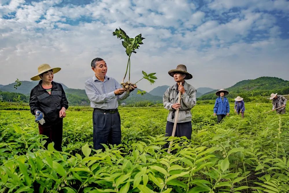 姹犲窞鐢熸椿璁板綍,姹犲窞娓哥帺鏃ヨ