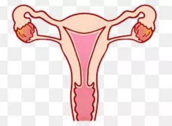 熊猫血产妇生子遇劫!医生艺高人胆大,徒手上阵翻子宫……