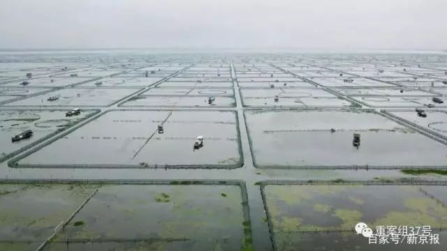 闃虫緞婀栬煿鎵ｆ樉绀轰粈涔堟墠鏄瀹楃殑,鍝噷鑳戒拱鍒伴槼婢勬箹锜规墸