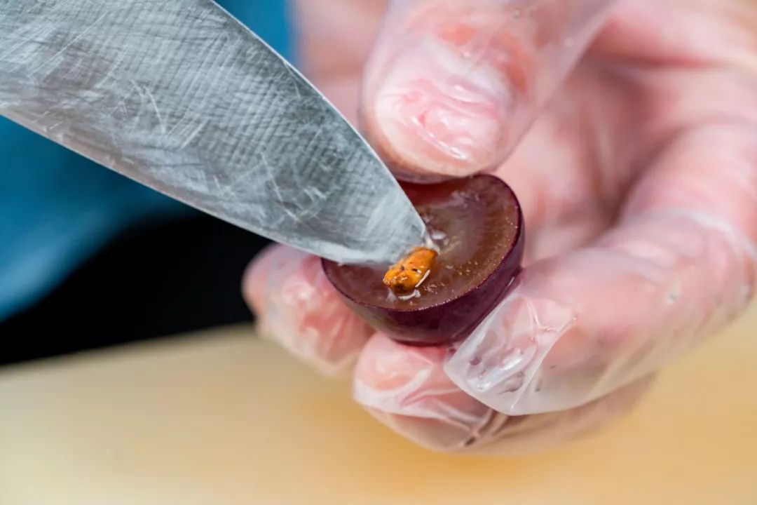 喜茶19.9元买一送一中华城,喜茶团购9.9扬州