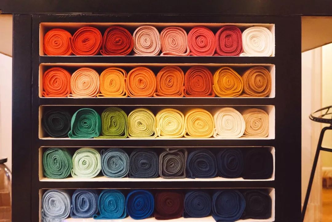 去海牙最好的地方,海牙游览