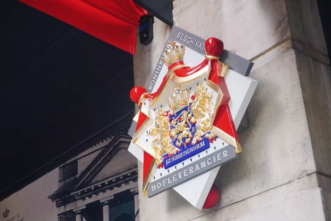 去海牙最好的地方,海牙游览