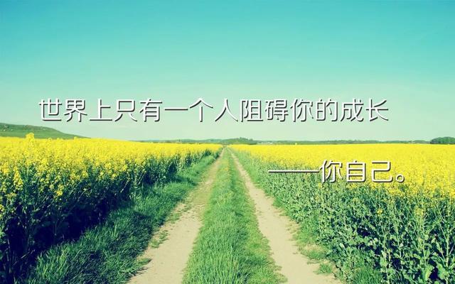 网络流量推广怎么做,网络推广技巧与方法分享