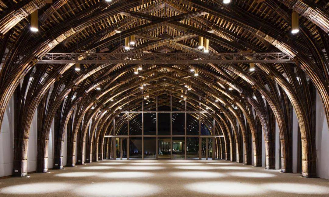 竹子的优点有哪些,竹子很有营养吗