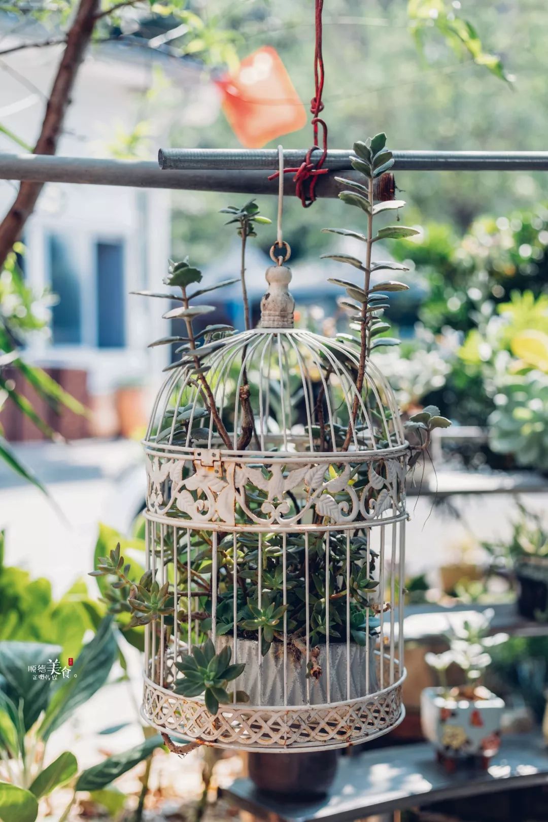 酒香不怕巷子深菜好不怕店难找,酒香不怕巷子深曲径通幽处