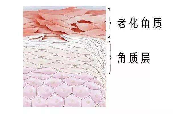 化妆老是搓泥是不是用面霜的原因,脸化妆为什么老是搓泥