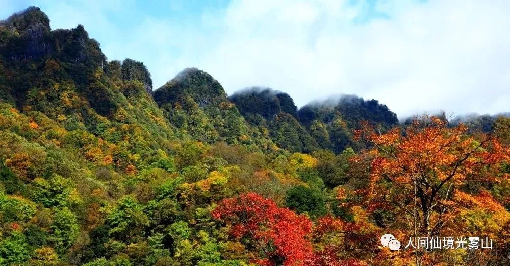 最美川西看彩林推荐地,美哭了这才是虹口秋天最美的地方