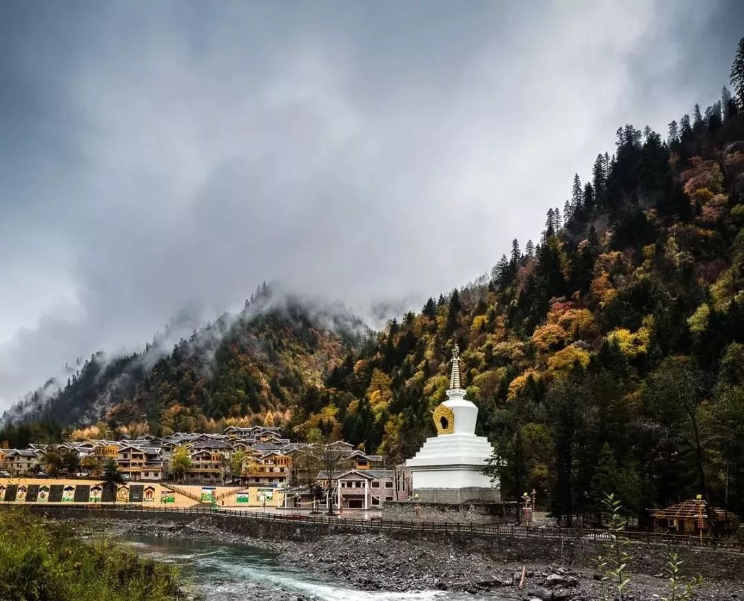 最美川西看彩林推荐地,美哭了这才是虹口秋天最美的地方