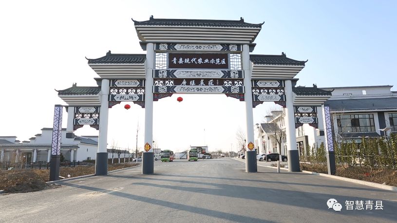 青县集会,2019沧州旅发大会