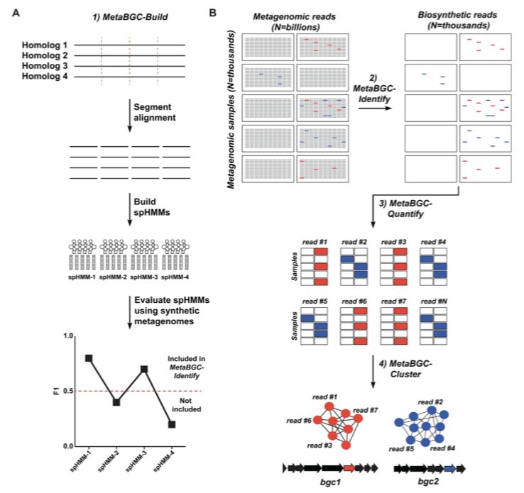 10月,33篇必读微生物研究:癌症、微生物药物、脑肠轴、皮肤-肠道轴、共生病毒、阴道微生物、菌群免疫互作、肠道黏液、粪菌移植
