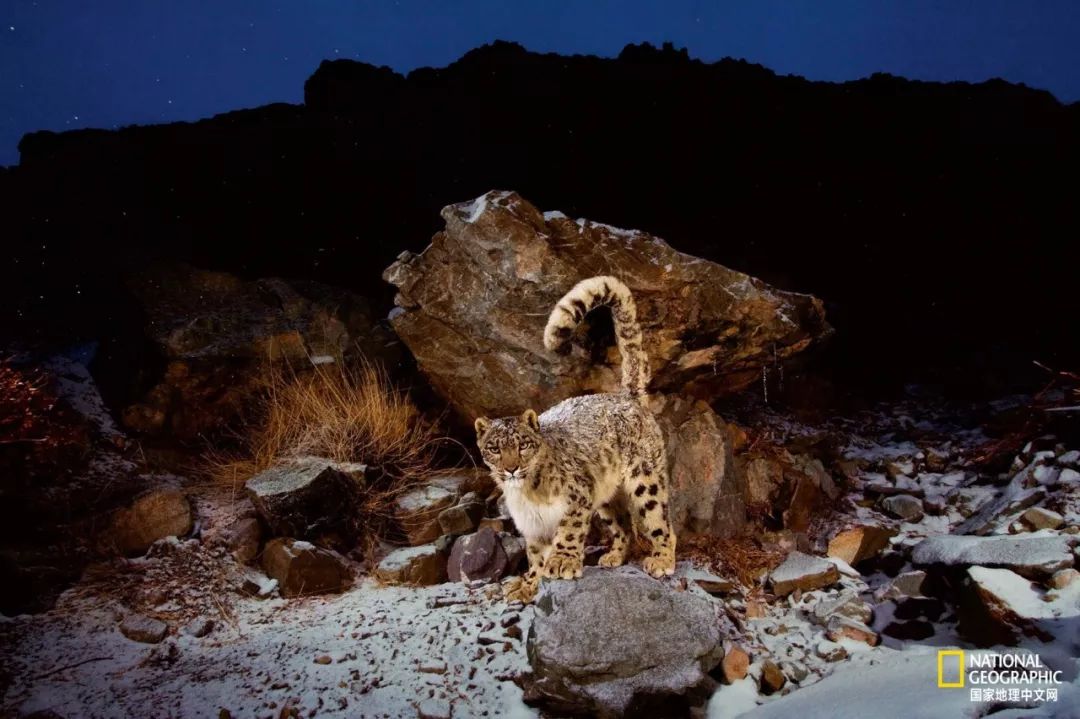 记住它们现在的模样,记住这些永不过期的食品