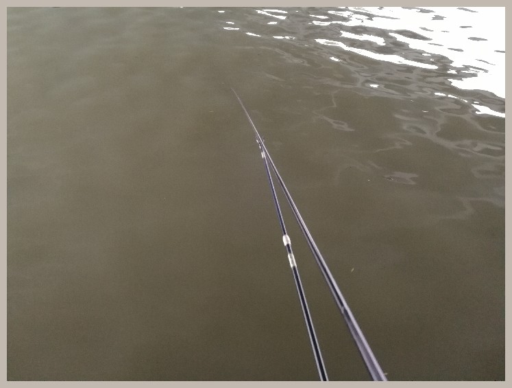 第一天打窝没口第二天还要打窝吗,第一天打窝第二天钓