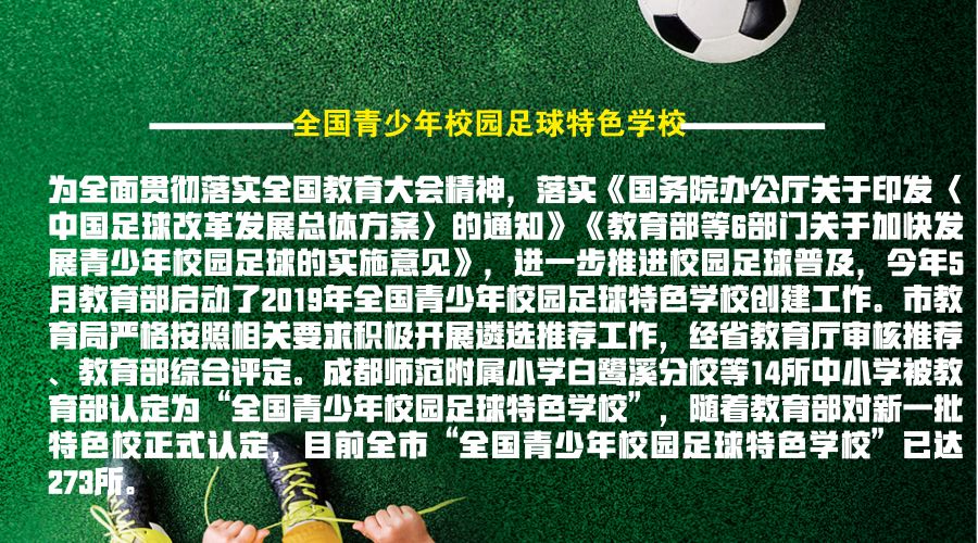 成都全国青少年足球,成都最好的青少年足球学校