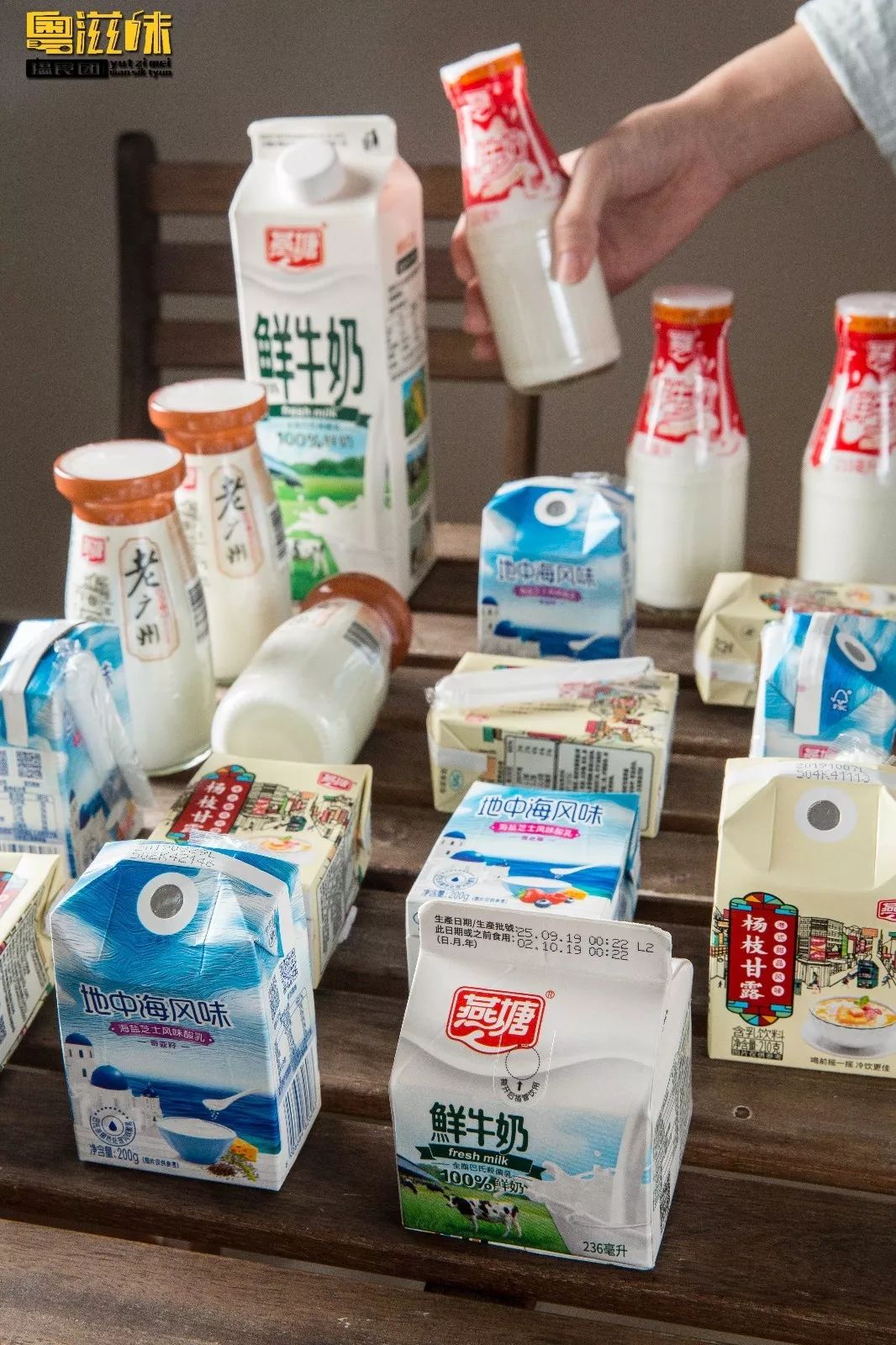 抢占“鲜”机！这个广东人爱了63年的燕塘牛奶，终于要登陆澳门了