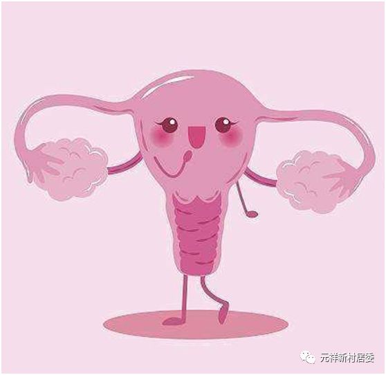 宫内节育器一般使用年限,宫内节育器的避孕原理主要是