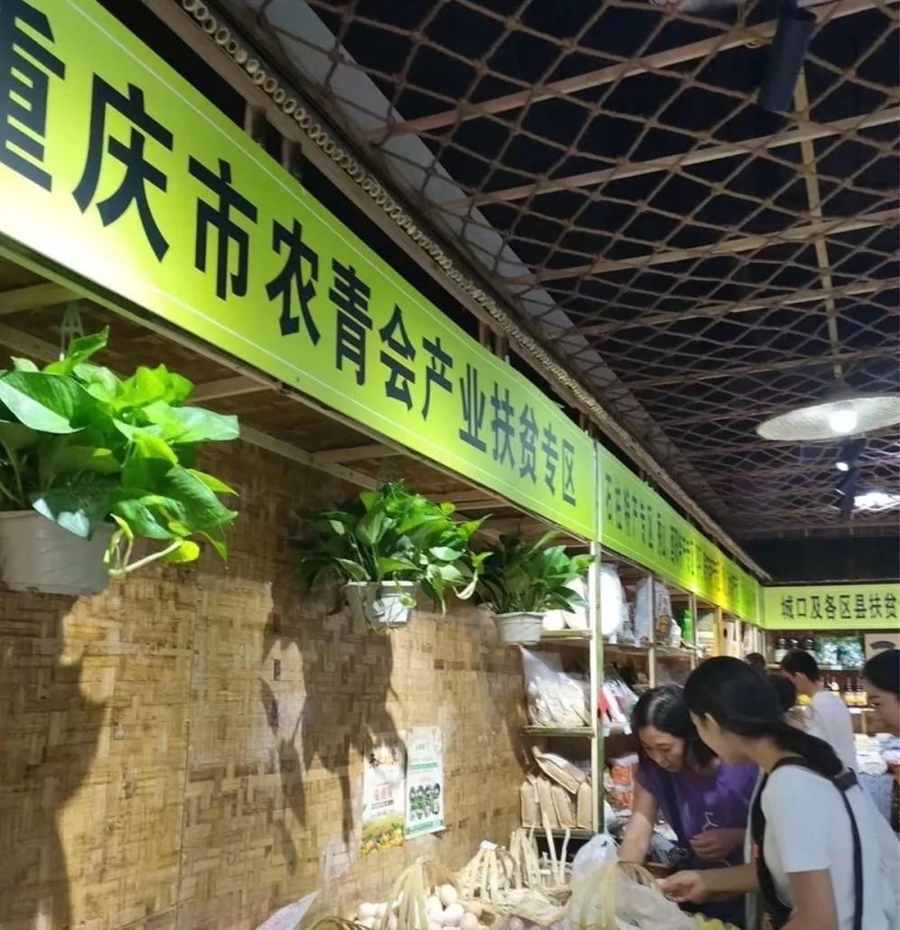 重庆乡村振兴大赛,重庆乡村振兴创业大赛