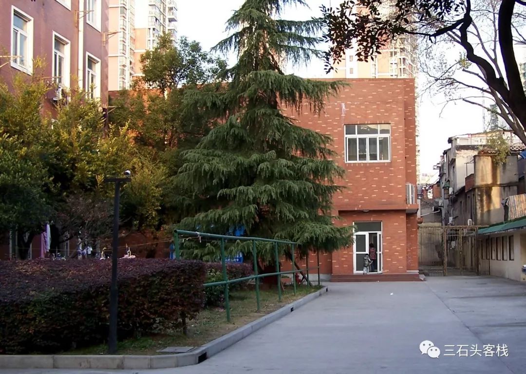 华政的简介,华政的故事