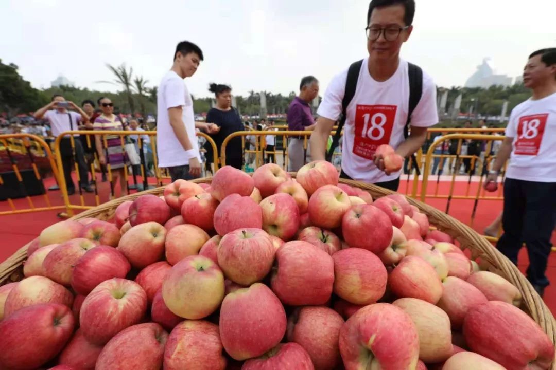 鍘﹂棬甯傝秴绾у槈骞村崕,鍏ㄥ煄娌歌吘