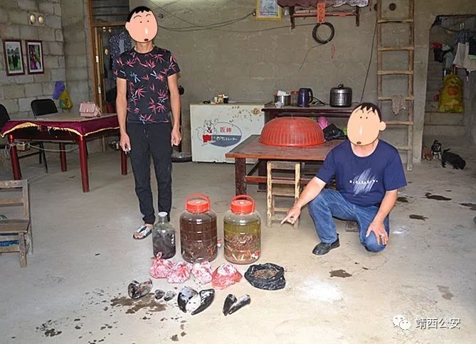 昆仑行动保健食品事件,2019年昆仑行动假药事件