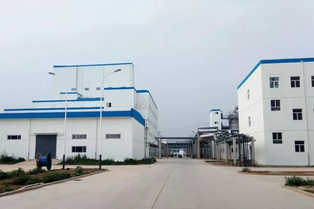 「实录」保定天鹅何以能展翅高飞？转型升级给出答案