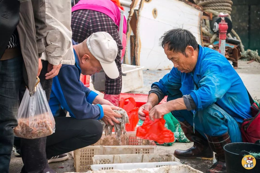 小港码头有蛏子吗,小港码头吃海鲜俱乐部电话