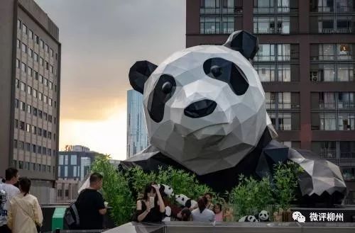柳州市机票,柳州飞北京机票多少钱经济舱