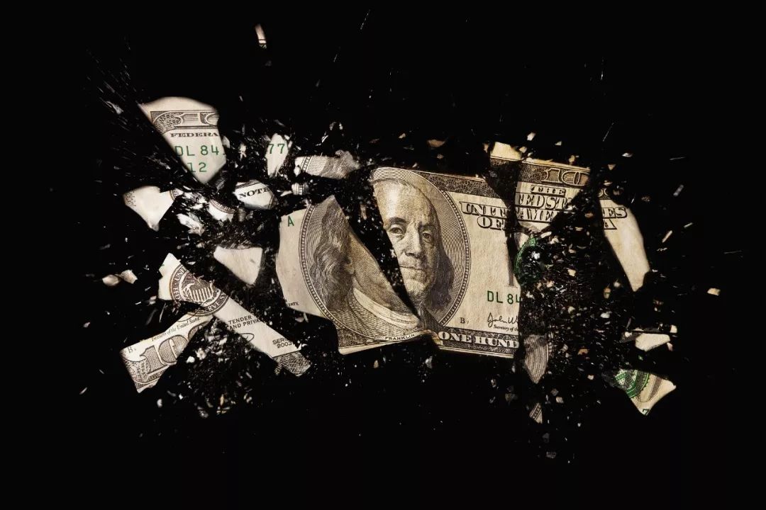 2017被杀害的人,2019年被杀死的动物有多少