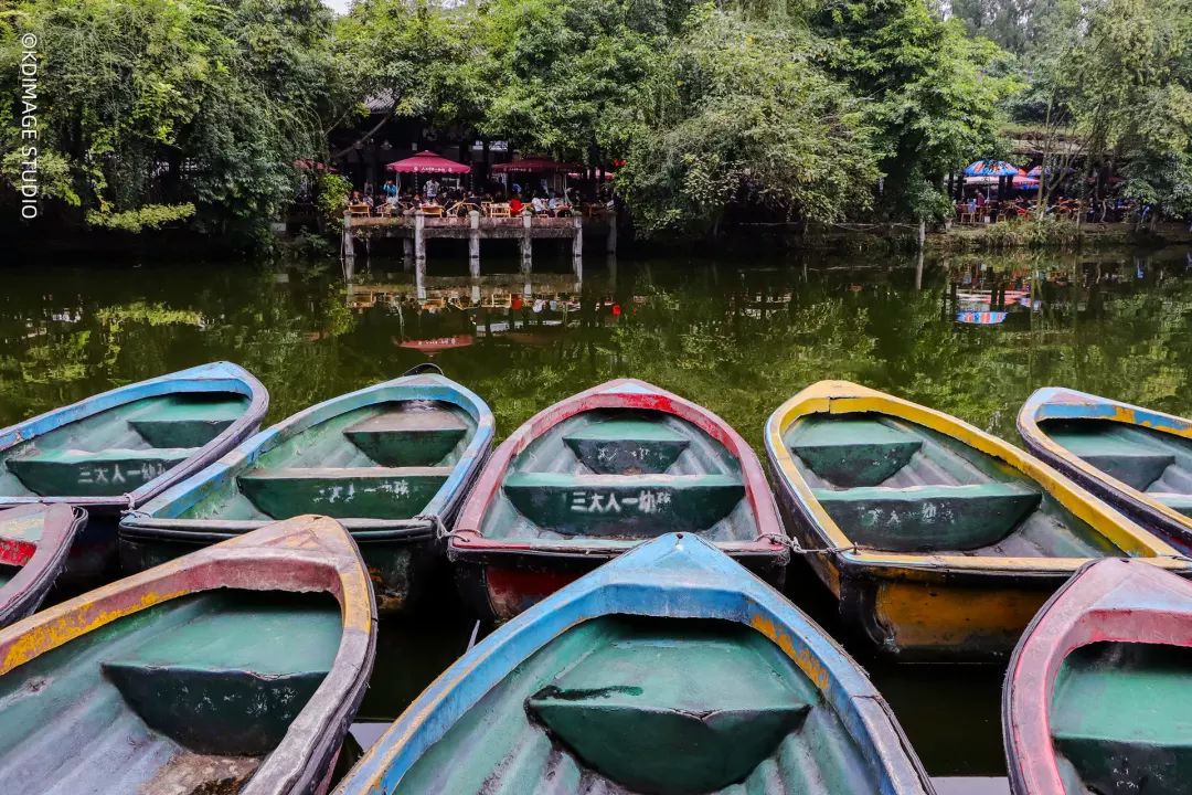 vlog单反入门级相机推荐,初学vlog适合用什么样的相机