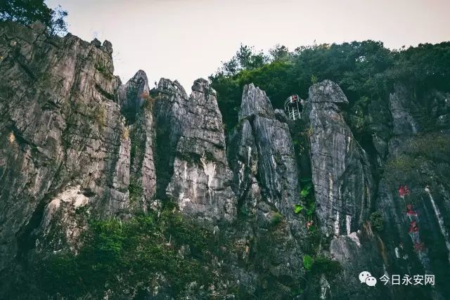 下个月，这场赛事将在永安举行！吃住行攻略附上