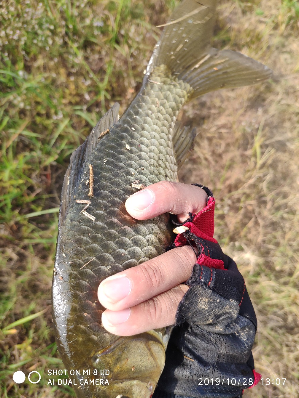 和钓友吃吃喝喝好不好,野钓与钓友