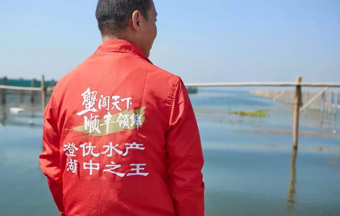 阳澄湖大闸蟹流黄,阳澄湖大闸蟹几月份吃最好吃