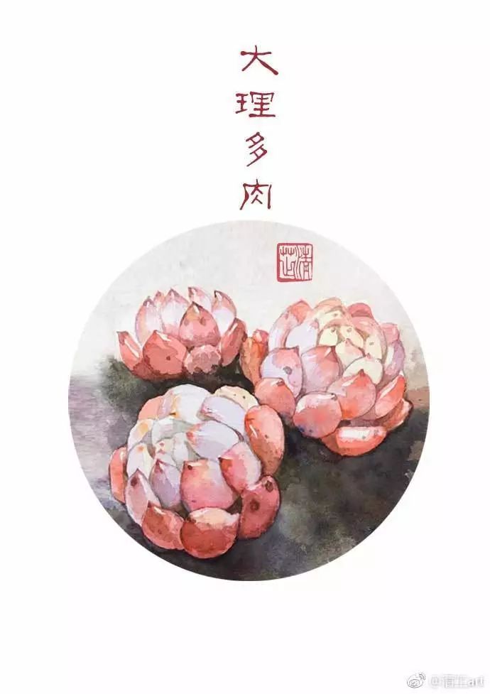 什么多肉不需要太强的光照,光照不足也能养的多肉