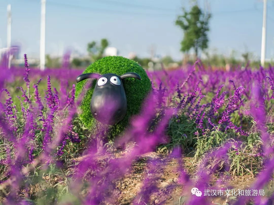 所有女生！江滩“上新”了秋游好去处