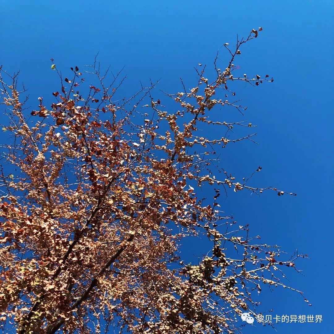 贝壳分享｜|她们说，秋冬也要认真穿