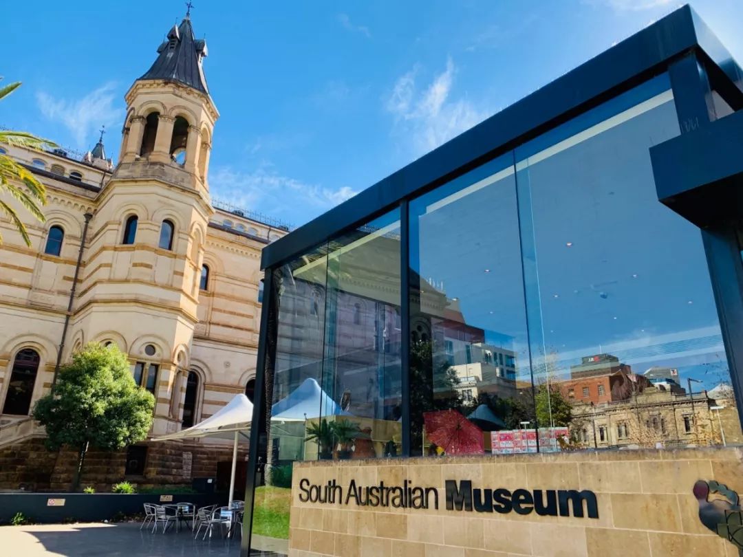 赴澳洲游学需注意事项,澳洲游学需要注意什么