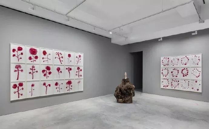 解锁上海新地标,解锁上海公园景点