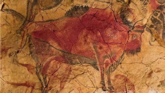 仿生人能梦到克莱因蓝吗,仿生人会梦见电子水母吗