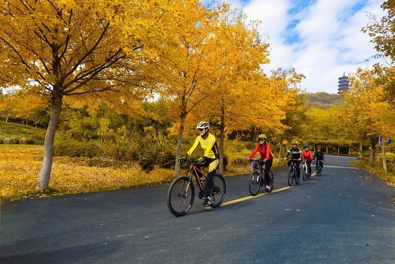 天呐!被南京这些路圈粉!