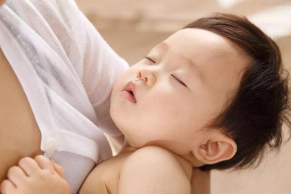 春天断奶的最好方法,春天断奶最佳方法