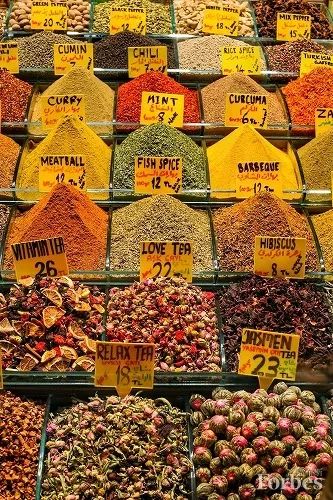 福布斯生活,福布斯生活旅游指南